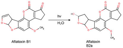 Aflatoxin B1 and Aflatoxin B2a