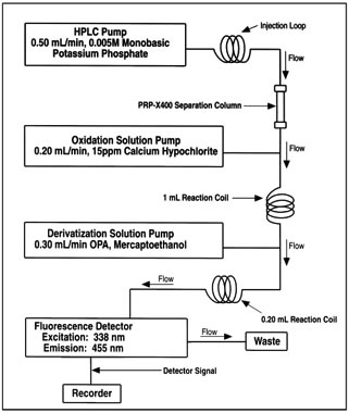 Figure 1 - CHROMATOGRAM