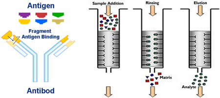 Immumo Affinity Column