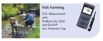 Fish Farming