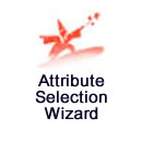 Attribute Selection Wizard