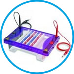 Gel electrophoresis tank MultiSUB Choice Trio