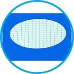 Membrane filters, gridded Type 13806