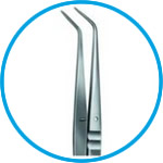 Laboratory forceps