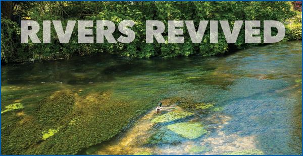 UK Environment Act 2021 Global Water quality Standard