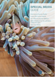 Special Media Guide