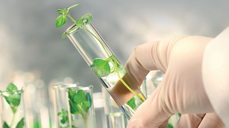 Sustainable Science: The Crucial Role of Sustainability in Laboratory Research