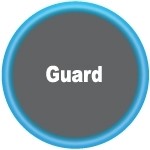 PEEK Hardware Guard