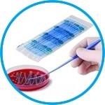 Life Sciences-Biotechnology