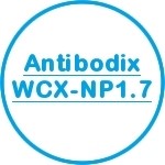 Antibodix WCX-NP1.7
