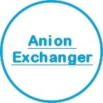 Anion Exchanger