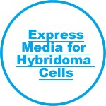 Express Media for Hybridoma Cells