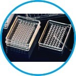 MicroWell plates MiniTrays Nunclon™ , PS