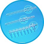 Strips of 8-/12- PCR tubes plus detached cap strips, PPautoclavable