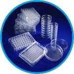Cell Culture Dishes with thermosensitive UpCell™ Surface, PS