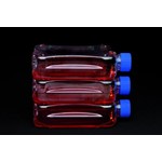 Cell culture flasks Nunc™ 300cm², treated, PS/PE-HD, sterile