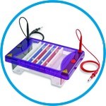Gel electrophoresis tank MultiSUB Choice