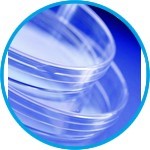Petri dishes Sterilin™, Ø 90 mm, PS