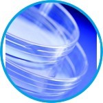 Petri dishes Sterilin™, Ø 90 mm, PS