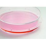 Cell and tissue culture dishes, Nunc™ EasYDish™, PS, sterile