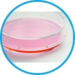 Cell and tissue culture dishes, Nunc™ EasYDish™, PS, sterile
