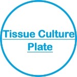 Tissue culture plate
