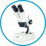 Educational Microscopes ST30C