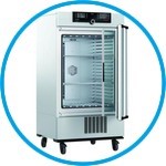 Cooled incubators with compressor cooling ICPeco