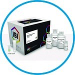 Gel / PCR / DNA Small Fragment Extraction Kit