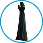 Isolator box glove AlphaTec®