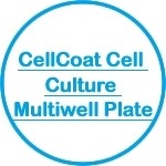 CellCoat Cell Culturee Multiwell Plate
