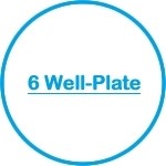 6 Well-Plate