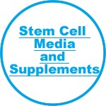 Stem Cell Media and Supplements