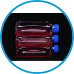Cell culture flasks Nunc™ 300cm², treated, PS/PE-HD, sterile