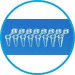 PCR tubes strips, PP, with attached individual caps