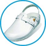 Laboratory shoes, ESD sandal