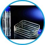 Cell Culture Flasks Triple Flask Nunclon Surface PS/PE-HD Sterile