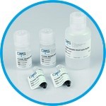 Viral DNA/RNA Extraction Kit, magnetic beads