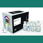 I-Blue MINI Plasmid Kit 100 preps IBI Scientific IB47171 