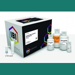 Gel/PCR DNA Extraction Kit 100 preps IBI Scientific IB47020 