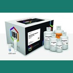 Gel/PCR DNA Extraction Kit 300 preps IBI Scientific  IB47030 