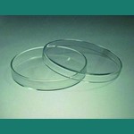 Bohemia Cristal Petri Dishes *Anumbra* N6324920020502