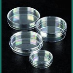 Sterilin Petri Dishes 50mm Low Form 124