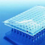 Brand PCR-Plates 96-Well 781230