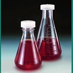 Thermo Erlenmeyer Flasks PMP With Screw Cap 4109-0500