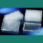 Thermo Immuno Plates Ps 96 Wells MaxiSorp F96 442404