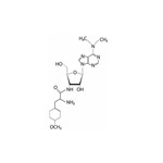 Canvax Puromycin Dihydrochloride AB024