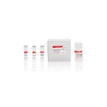 Canvax PRImeDETECT™ Salmonella Plus Detection Kit FP0011