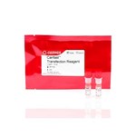 Canvax CANFAST™ Transfection Reagent T0082