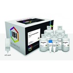 IBI Scientific MIDI Fast-Ion Plasmid kit 25 preps IB47111